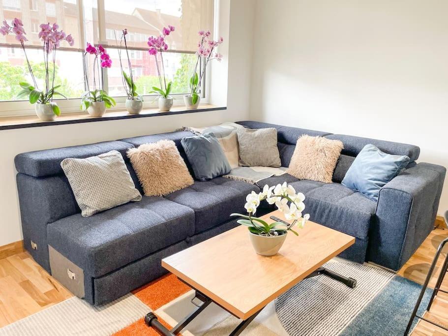 Appartement Cote Jardin - Centre Alençon Exteriör bild